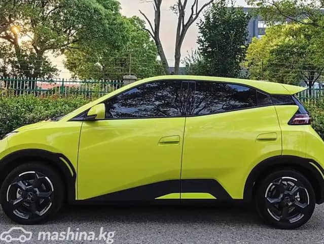 BYD Seagull 38.88 kWh Electro AT