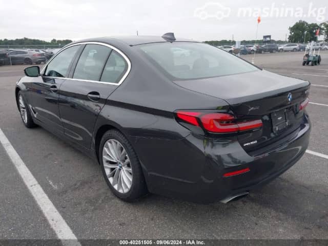 BMW 5 серии VII (G30/G31) Рестайлинг 530i 2.0 AT