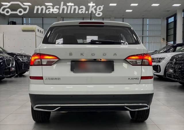 Skoda Kamiq I (China Market) 1.5 AT
