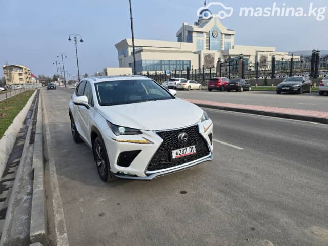 Lexus NX I Рестайлинг 300 2.0 AT