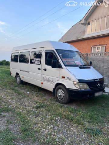 Mercedes-Benz Междугородный