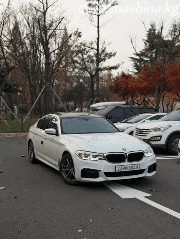 BMW 5 серии VII (G30/G31) 520d xDrive 2.0d AT 4WD