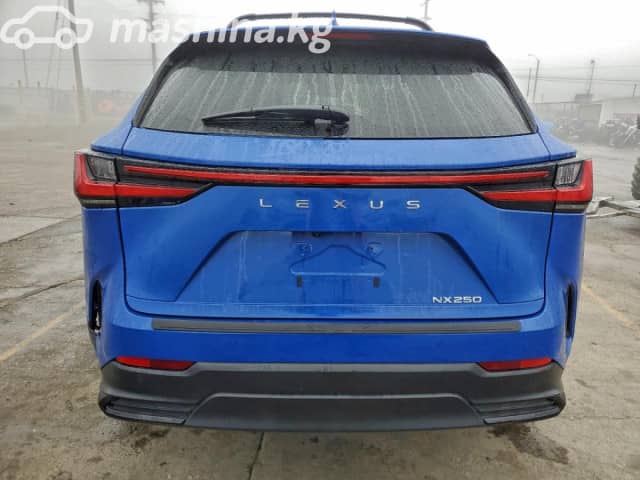 Lexus NX II 250 2.5 AT