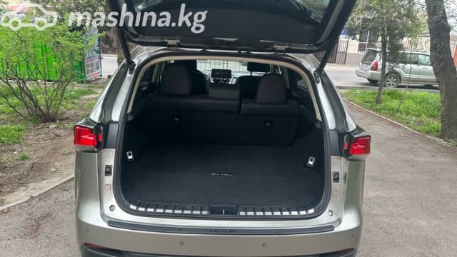 Lexus NX I Рестайлинг 300 2.0 AT 4WD