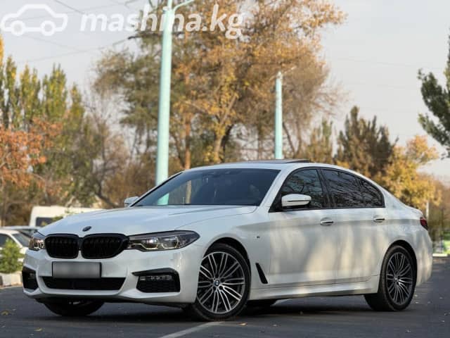 BMW 5 серии VII (G30/G31) 530i xDrive 2.0 AT 4WD