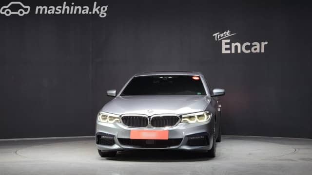 BMW 5 серии VII (G30/G31) 530i 2.0 AT