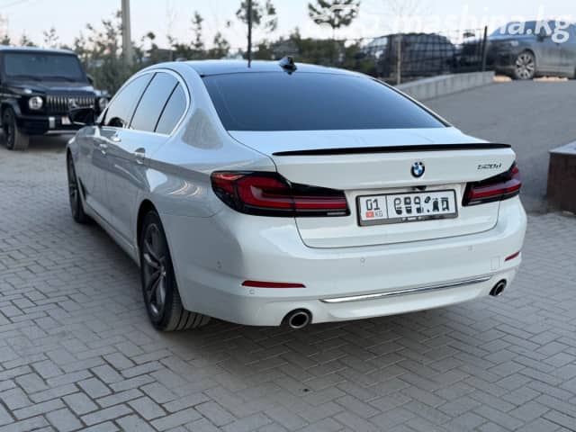BMW 5 серии VII (G30/G31) 520d 2.0d AT