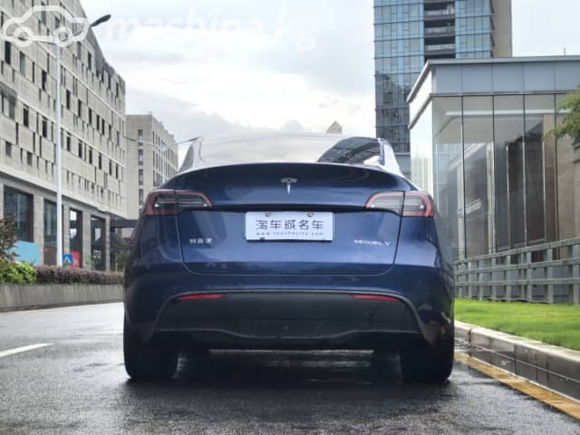 Tesla Model Y I Performance Electro AT 4WD