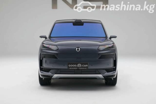 Denza N9 2.0hyb CVT 4WD