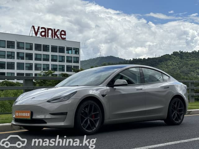 Tesla Model 3 I Performance Electro AT 4WD