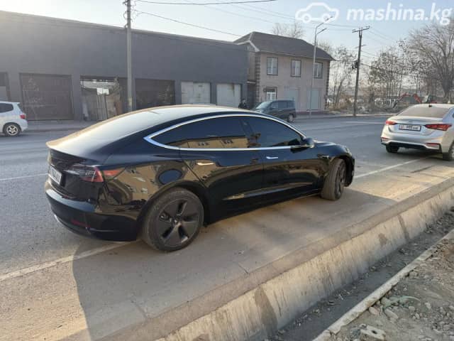 Tesla Model 3 I Standart Electro AT