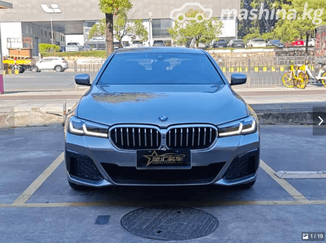 BMW 5 серии VII (G30/G31) Рестайлинг 530Li 2.0 AT