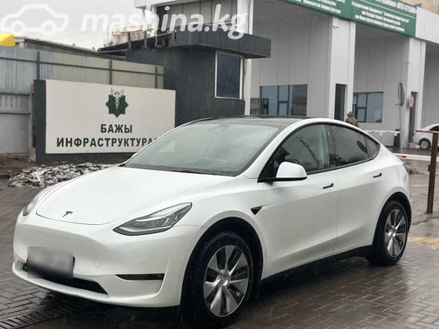 Tesla Model Y I Long Range Electro AT 4WD