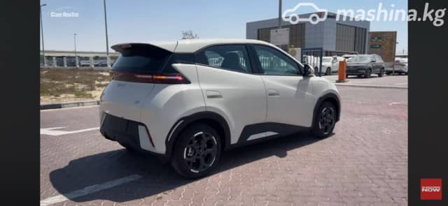 BYD Seagull 38.88 kWh Electro AT