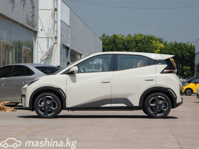 BYD Seagull 38.88 kWh Electro AT