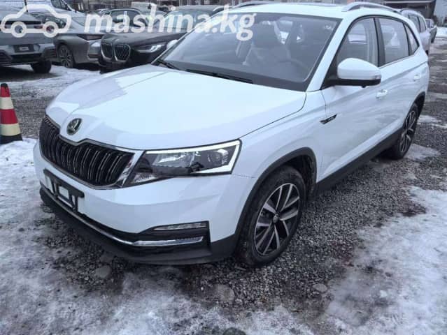 Skoda Kamiq I (China Market) 1.5 AT