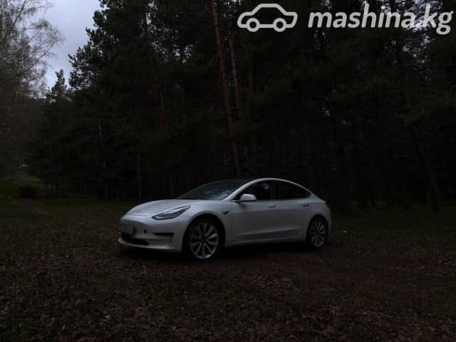 Tesla Model 3 I Standart Plus Electro AT