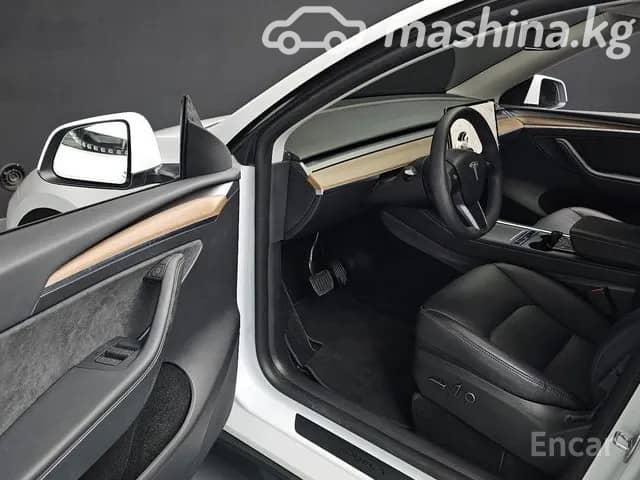 Tesla Model Y I Performance Electro AT 4WD