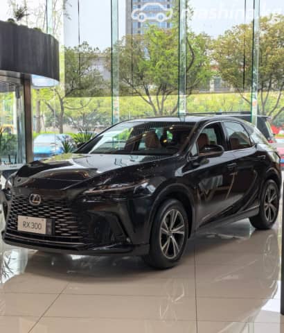 Lexus RX V 300 2.0 AT 4WD