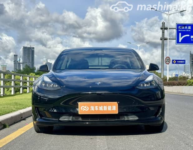 Tesla Model 3 I Standart Plus Electro AT