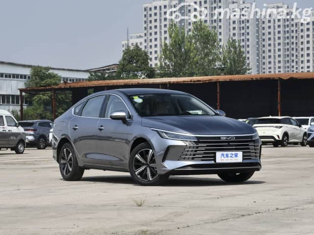 BYD Destroyer 05 1.5hyb AT