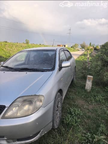 Toyota Corolla IX (E120, E130) 1.6 MT