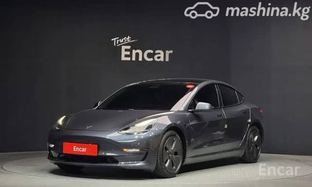 Tesla Model 3 I Long Range Electro AT 4WD