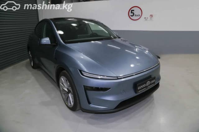 Tesla Model Y I Standard Electro AT