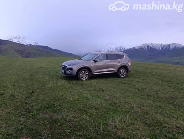 Hyundai Santa Fe IV 2.0d AT 4WD