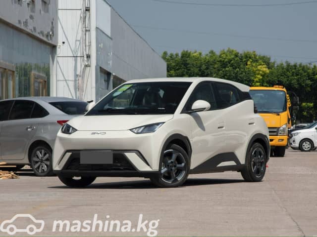 BYD Seagull 38.88 kWh Electro AT