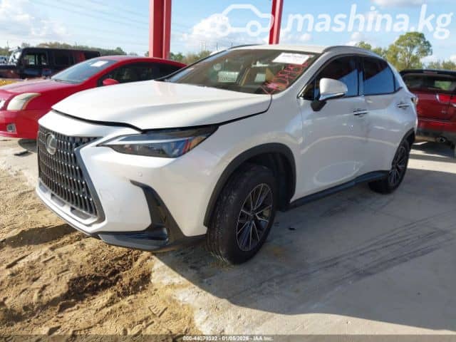 Lexus NX II 250 2.5 AT