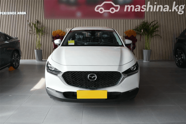Mazda CX-30 I 2.0 MT