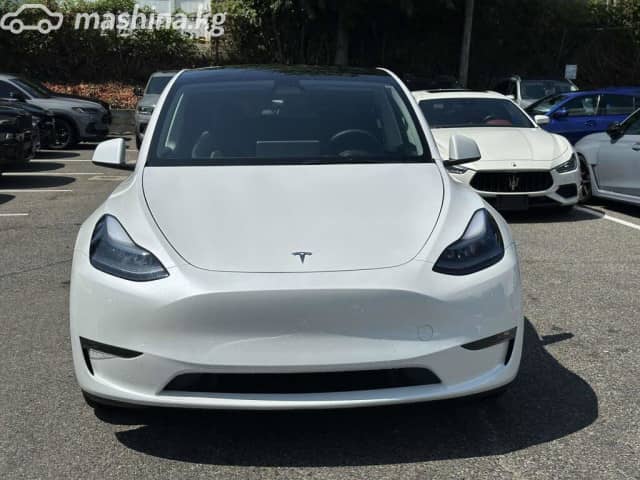 Tesla Model Y I Performance Electro AT 4WD