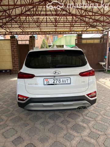 Hyundai Santa Fe IV 2.2d AT 4WD
