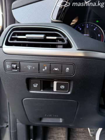 Hyundai Palisade I