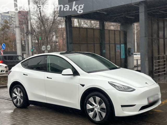 Tesla Model Y I Long Range Electro AT 4WD