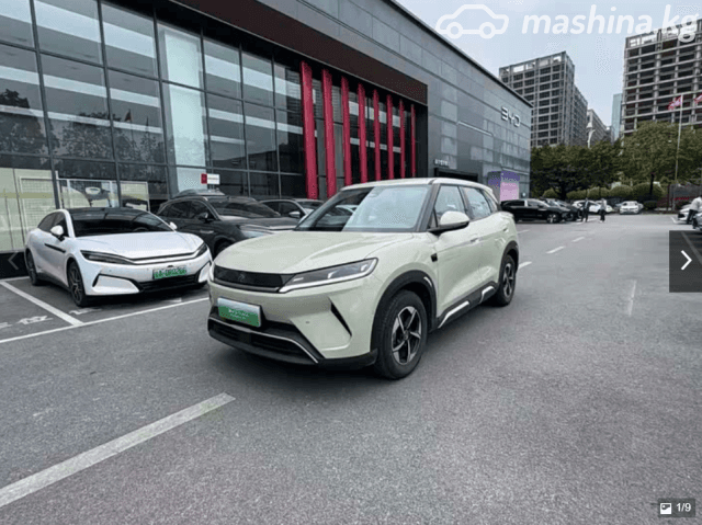 BYD Yuan Up 32 kWh Electro AT