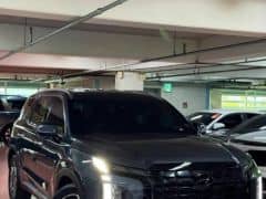 Hyundai Palisade I Рестайлинг