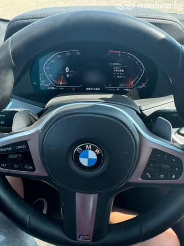BMW X6 III (G06) 30d 3.0d AT 4WD