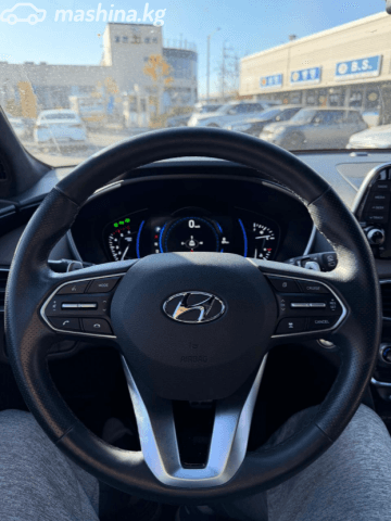 Hyundai Santa Fe IV 2.2d AT 4WD