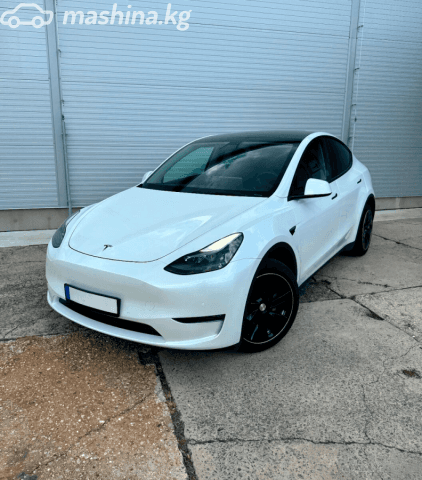 Tesla Model Y I Long Range Electro AT 4WD
