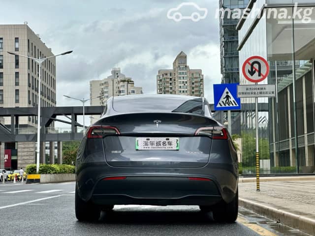 Tesla Model Y I Long Range Electro AT 4WD