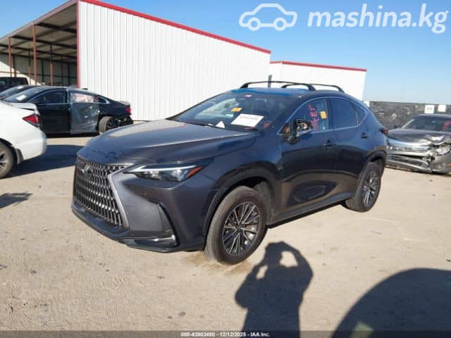 Lexus NX II 350h 2.5hyb AT 4WD