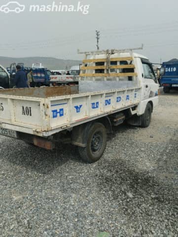 Hyundai New Power Truck