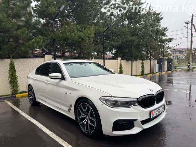 BMW 5 серии VII (G30/G31) 520d 2.0d AT