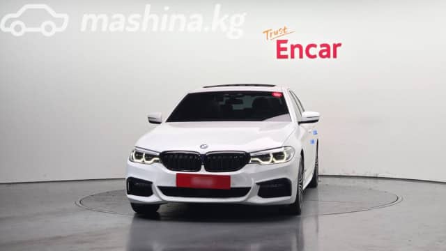 BMW 5 серии VII (G30/G31) 530i xDrive 2.0 AT 4WD
