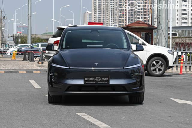 Tesla Model Y I Standard Electro AT