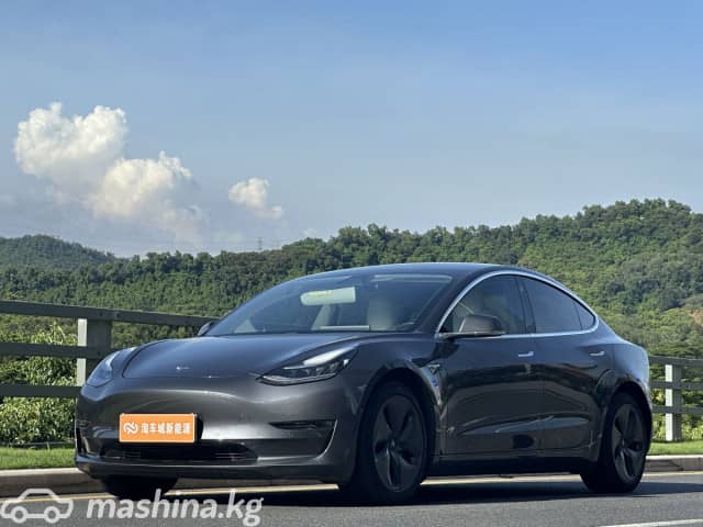 Tesla Model 3 I Long Range Electro AT