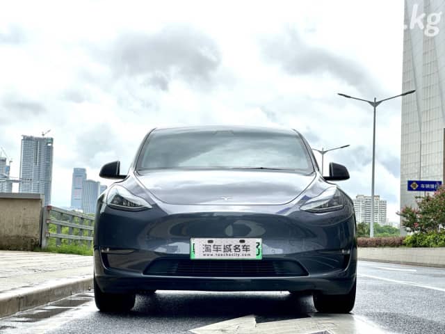 Tesla Model Y I Long Range Electro AT 4WD