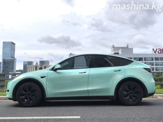 Tesla Model Y I Standard Electro AT